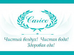 Дизайн сайта Carico - изящно и красиво!
