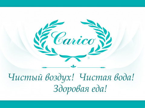 Дизайн сайта Carico - изящно и красиво! Дизайн сайта Carico - изящно и красиво!
