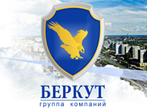 А у нас двойняшки! Сайты для группы компаний "Беркут". Группа компаний "Беркут"